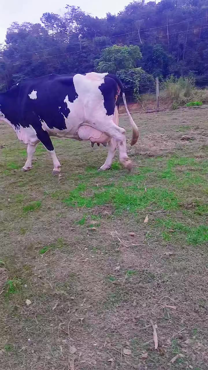 @Fazenda Santa Rosa