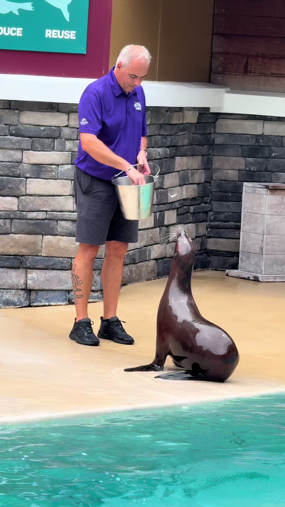 @OlivierSeaworld
