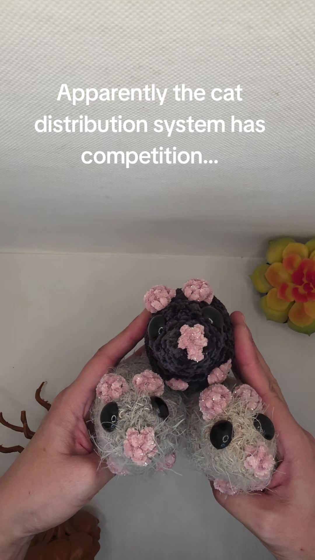 @Amber Mitchell