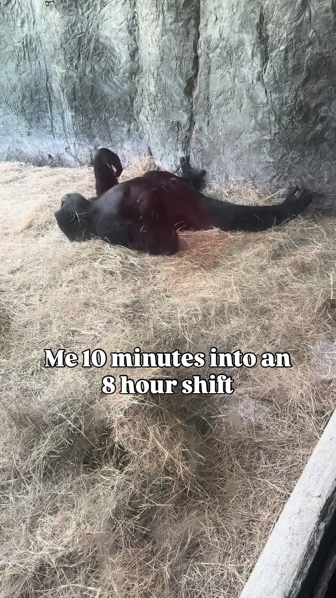 @OZmedia