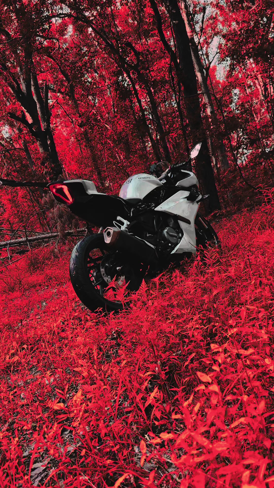 @Moto_g59