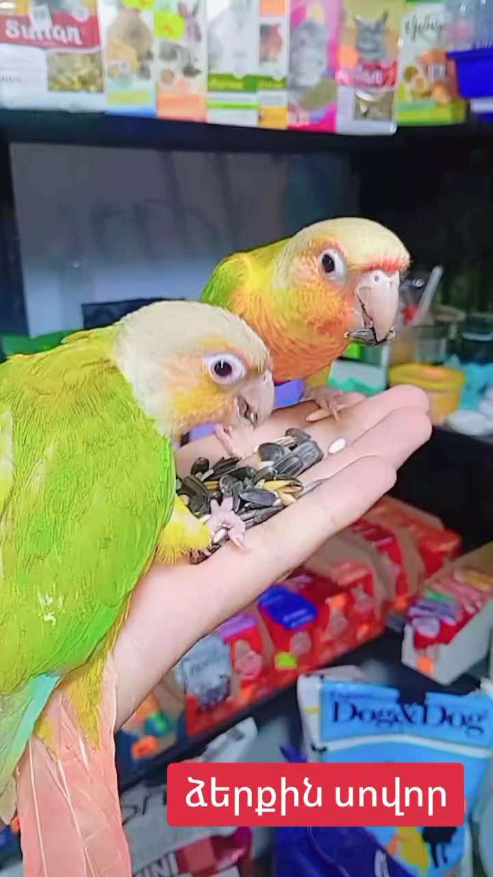 @Թութակներ🦜🐕🦺🐇