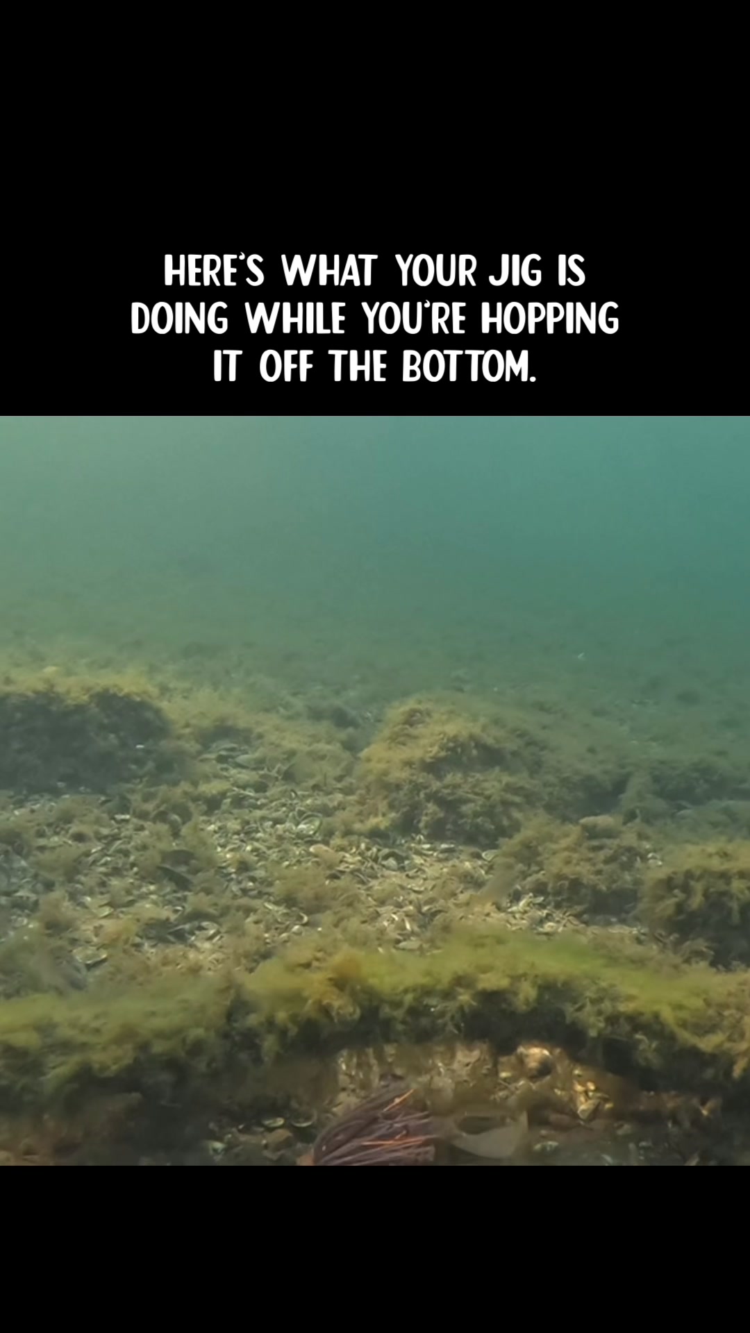 @Motion Fishing