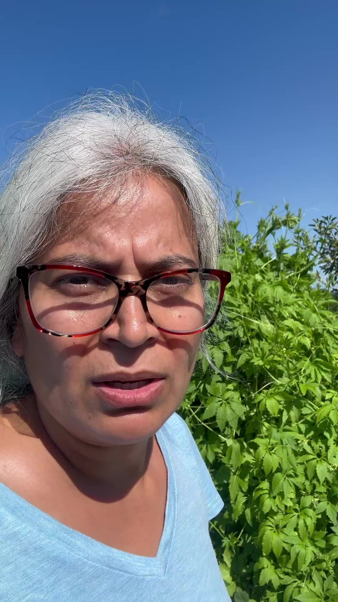 @आमा र जग्गुदिदी
