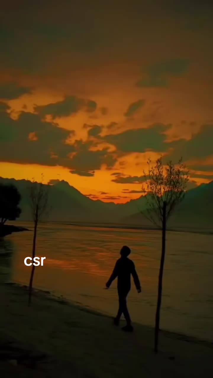 @56cleansr