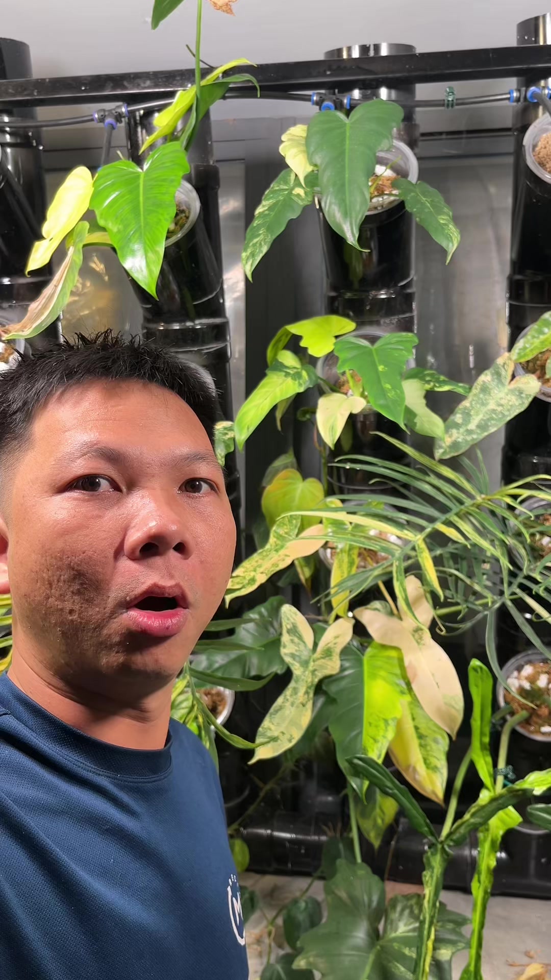 @Huy Kiểng Lá