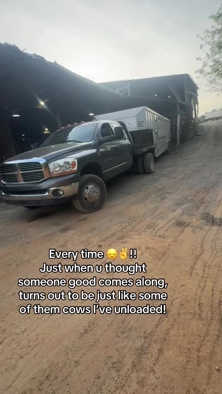 @tripleclivestock