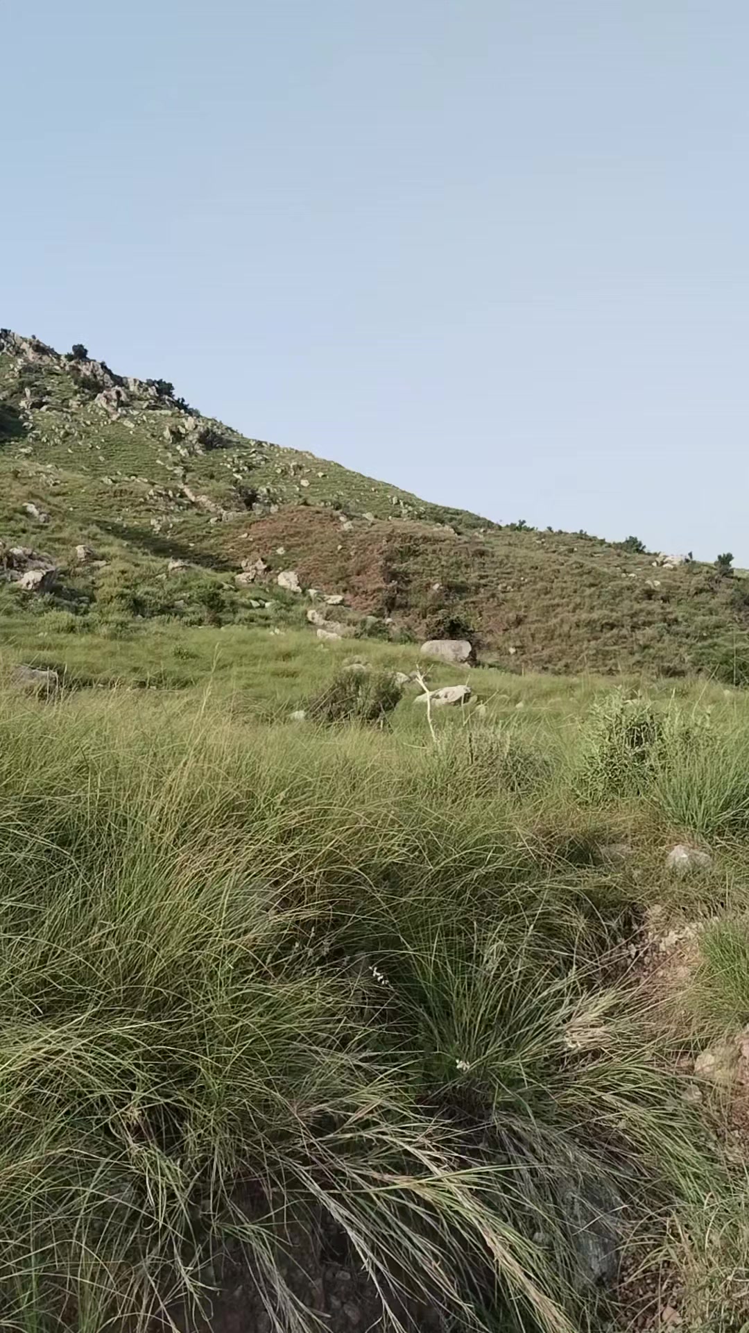 @mkhanafridi22