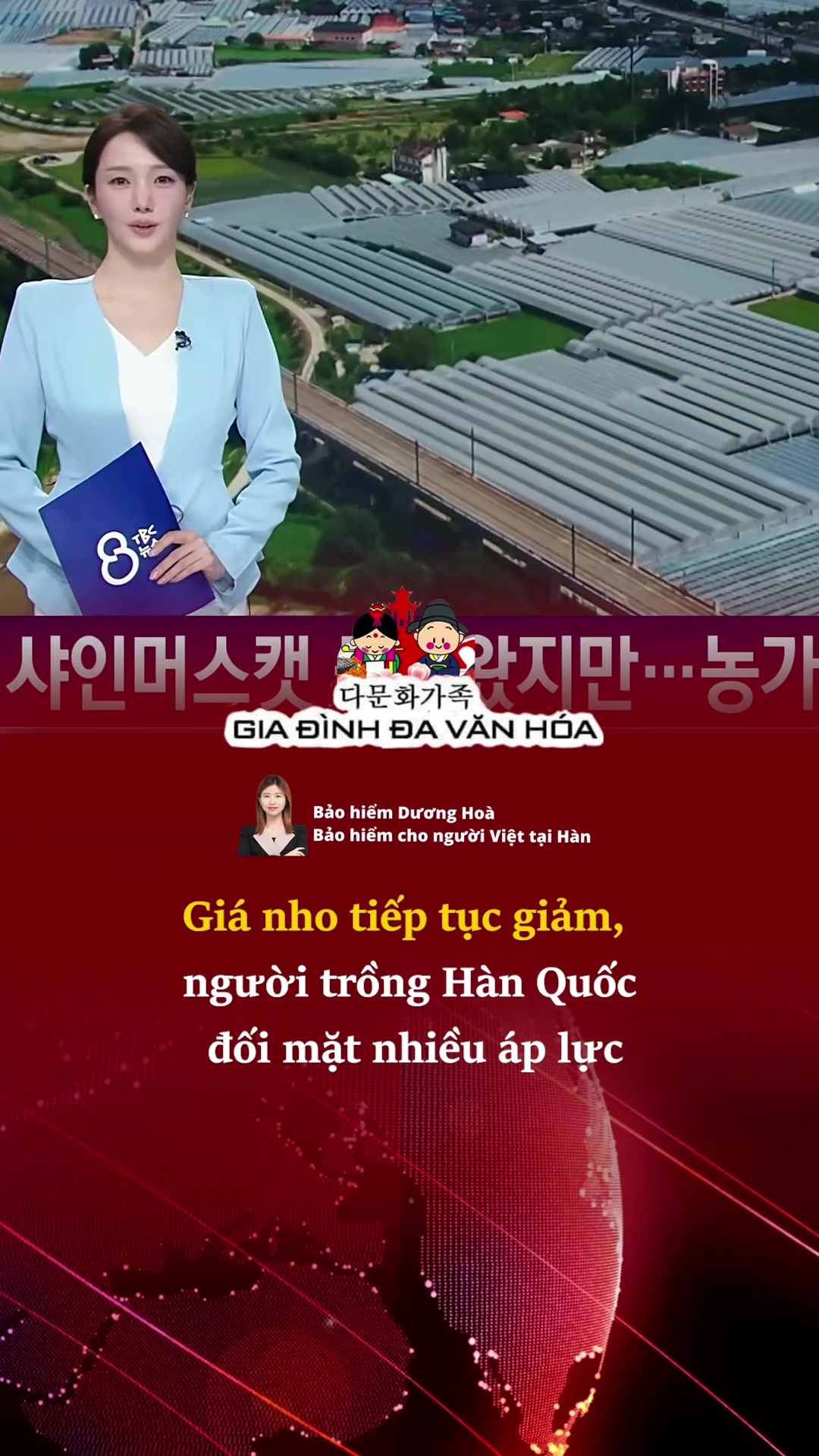 @다문화가족 - GIA ĐÌNH ĐA VĂN HÓA