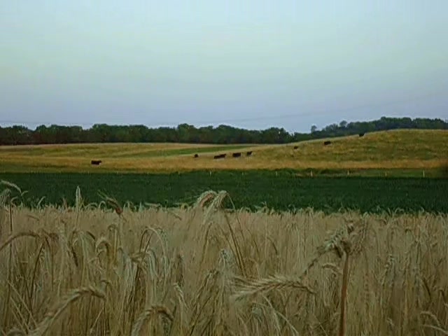 @rural_midwest