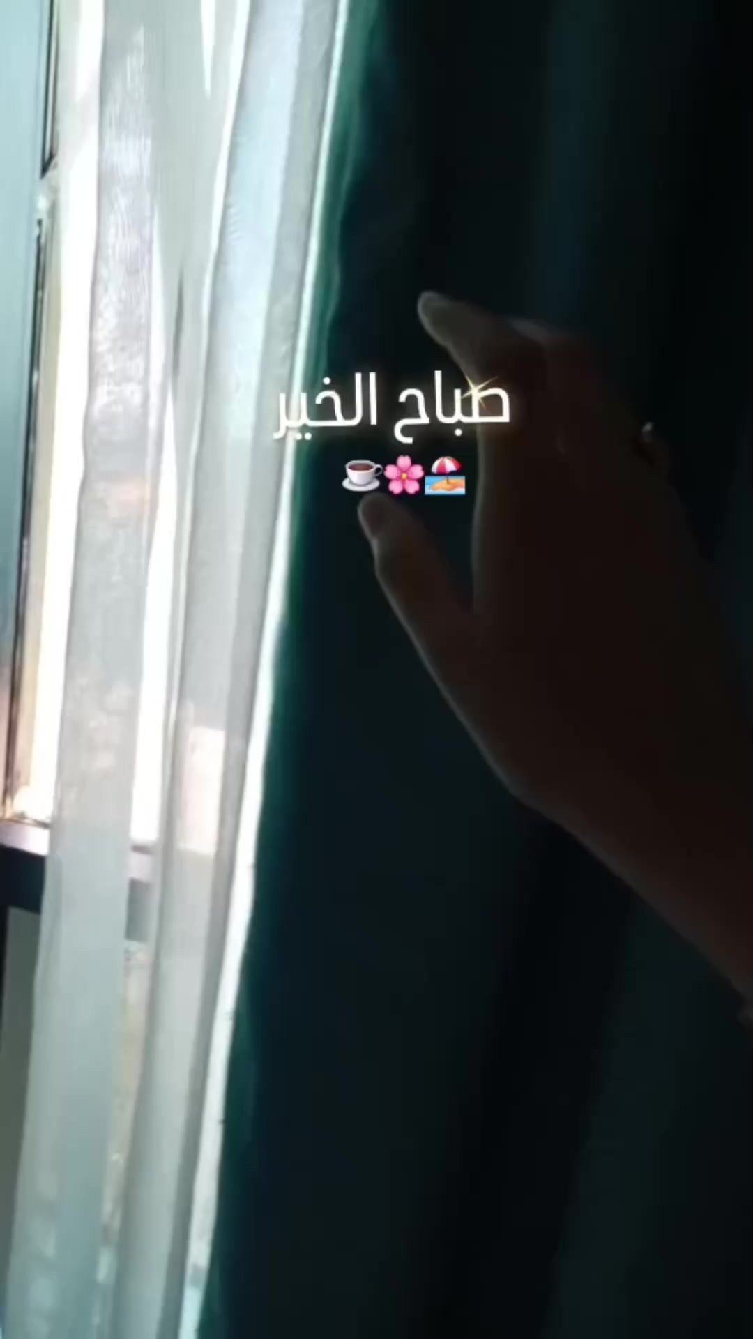 @chahinezshina