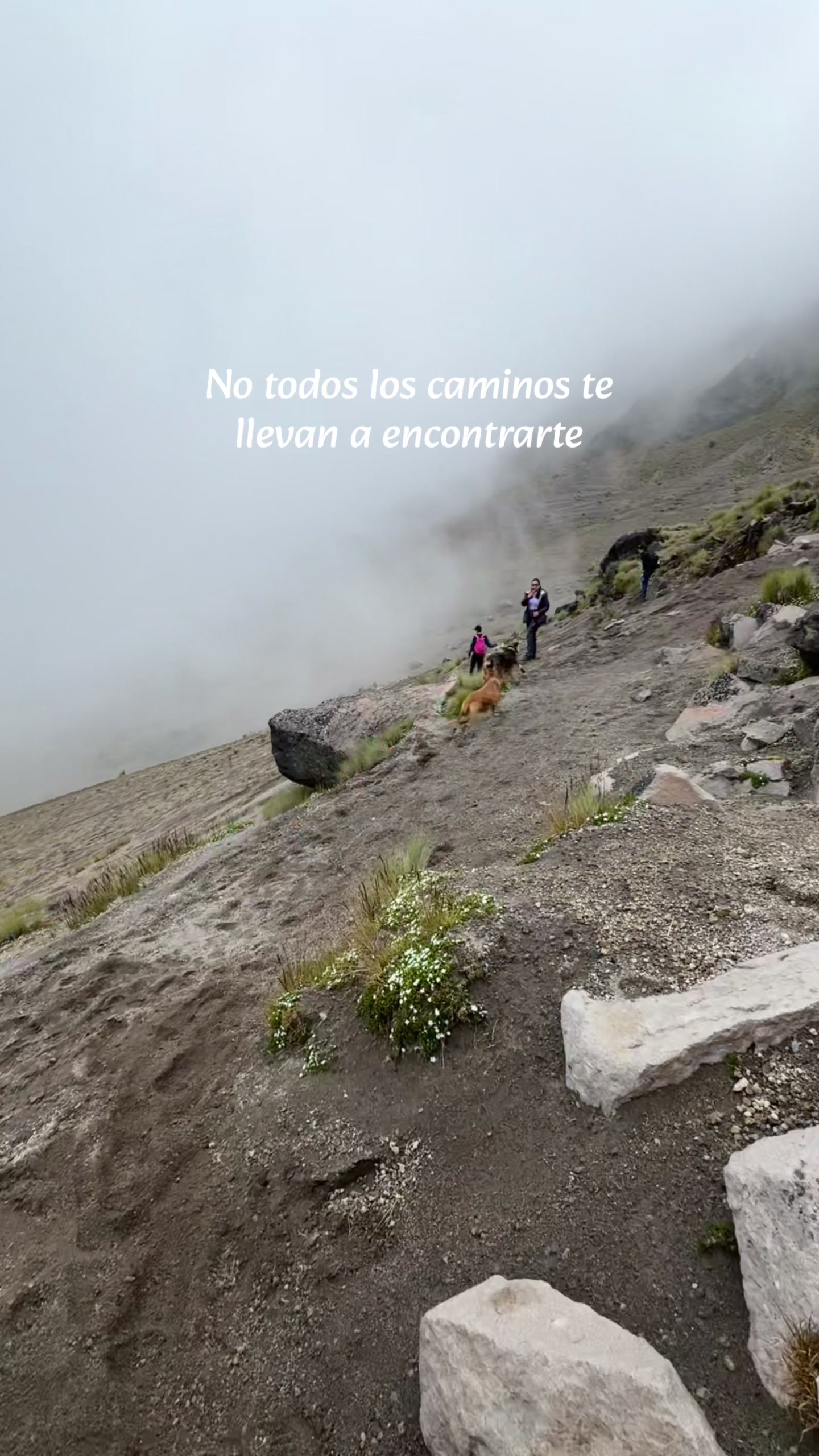 @The Nevado Experience