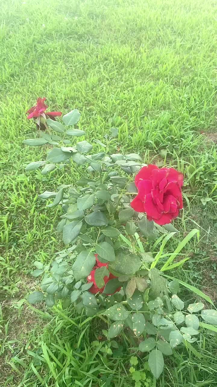 @sweetest_actor