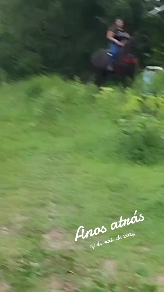 @izabelyviktoria0