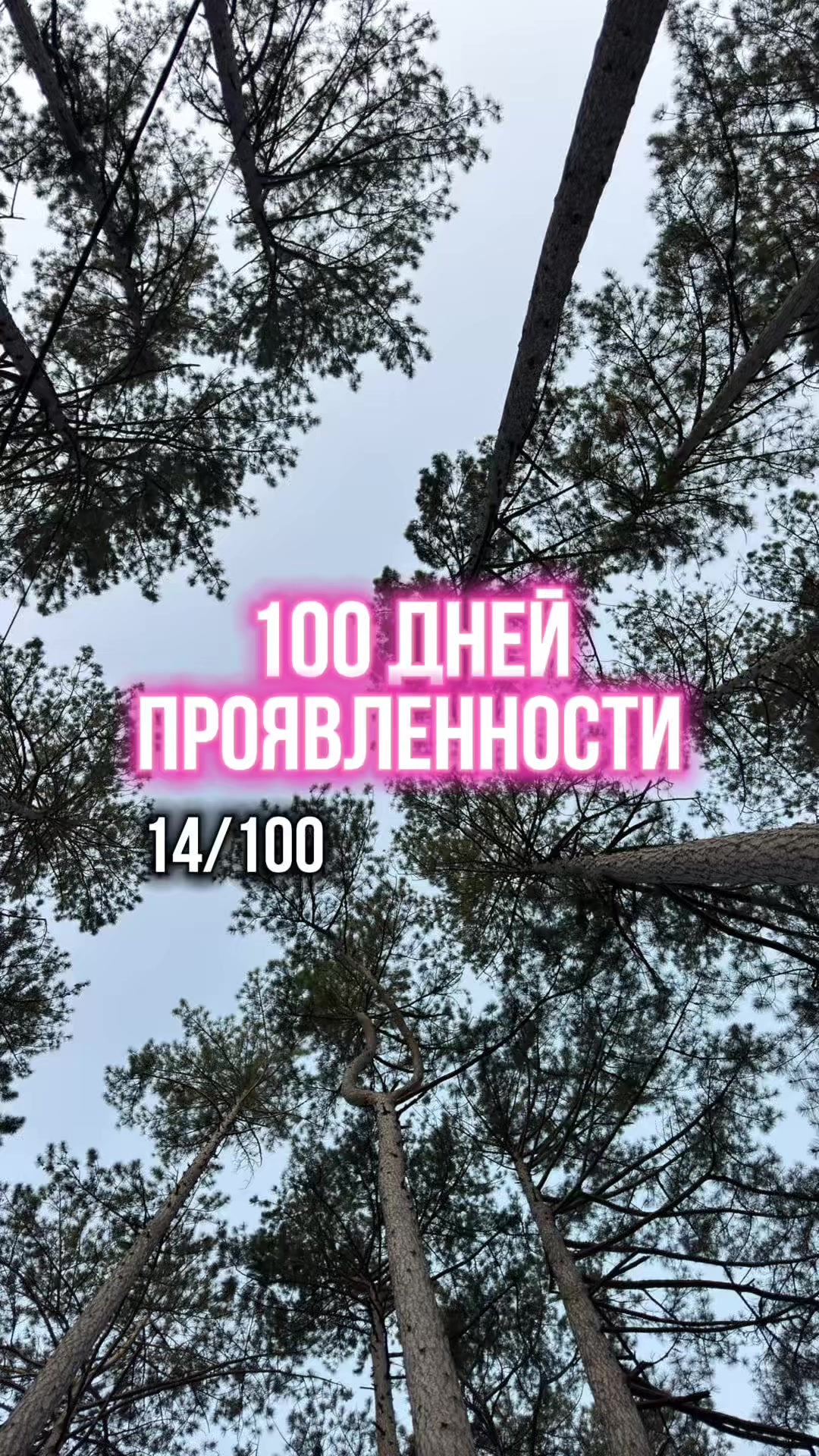 @Настя Новакова