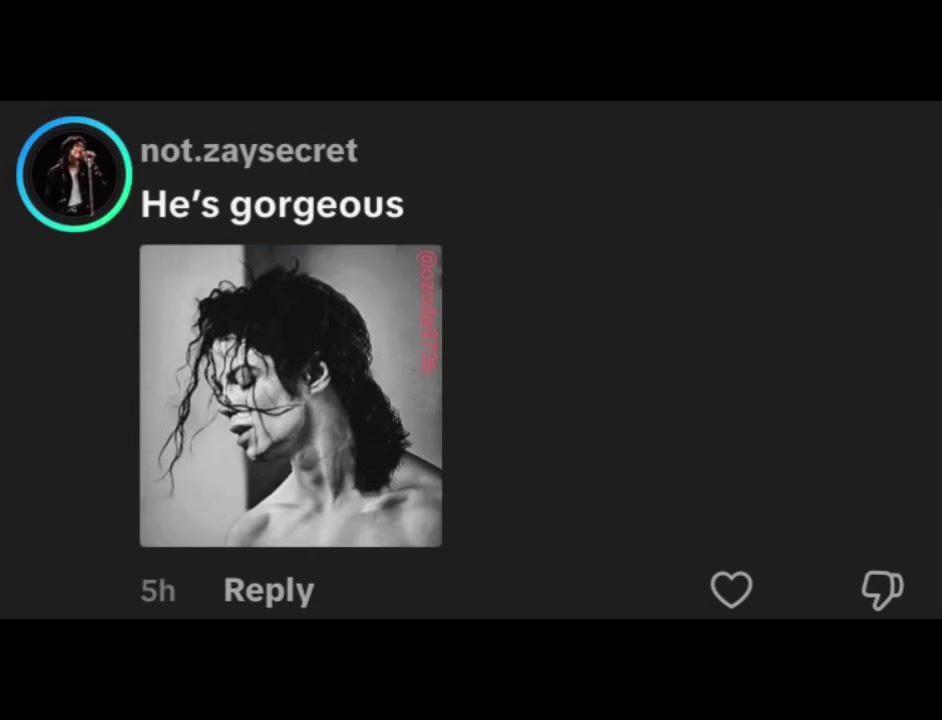 @g1ng3rf4n