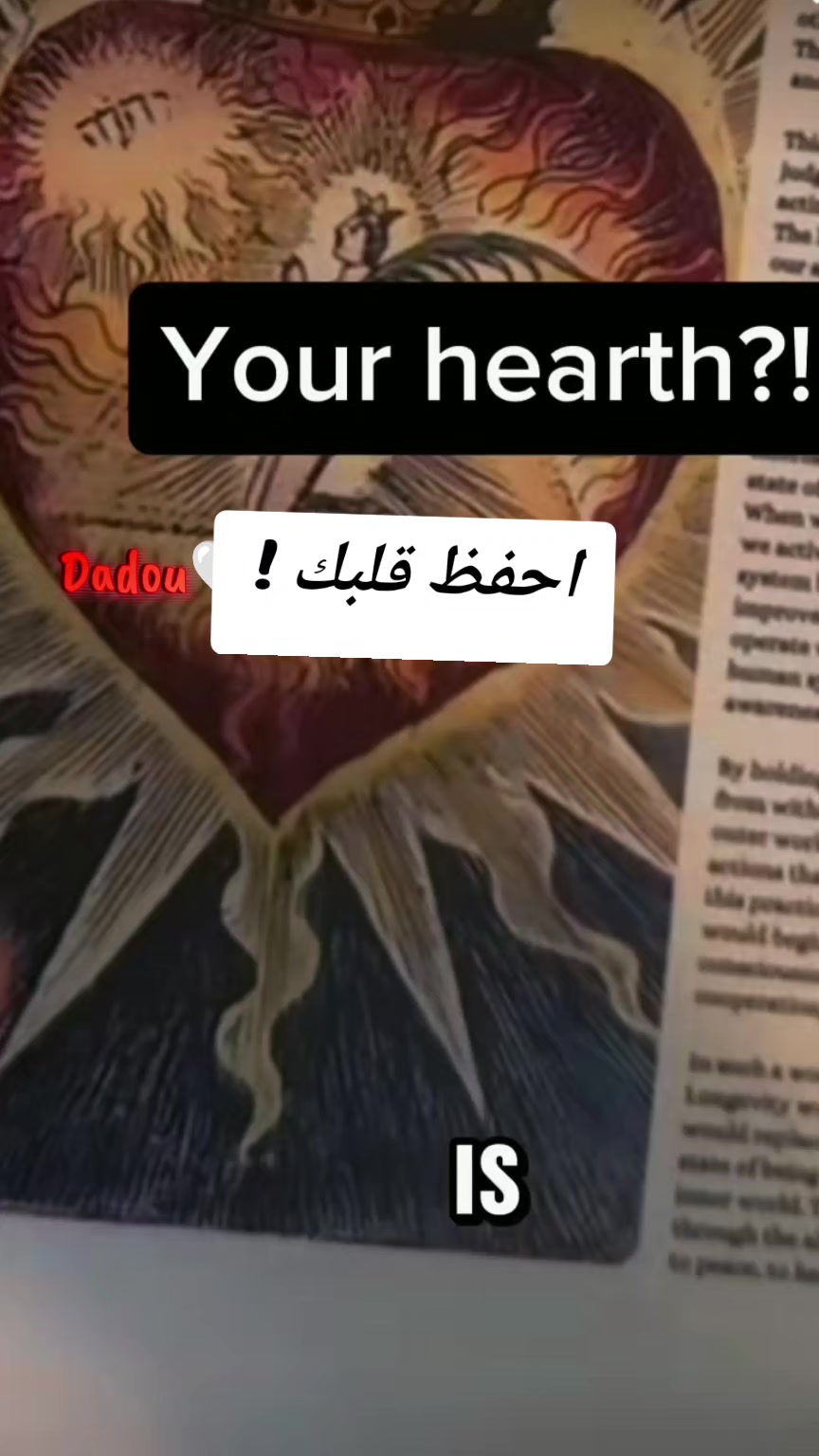 @كوتش هدى