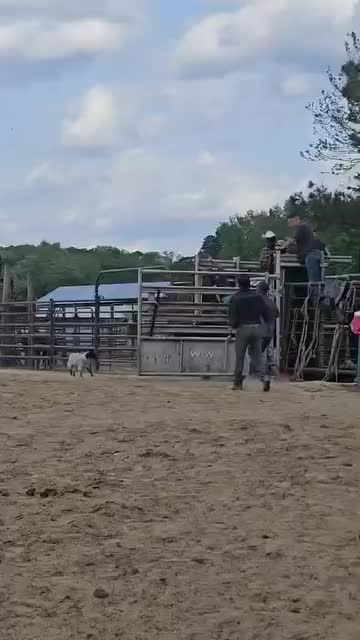 @BigMRanch