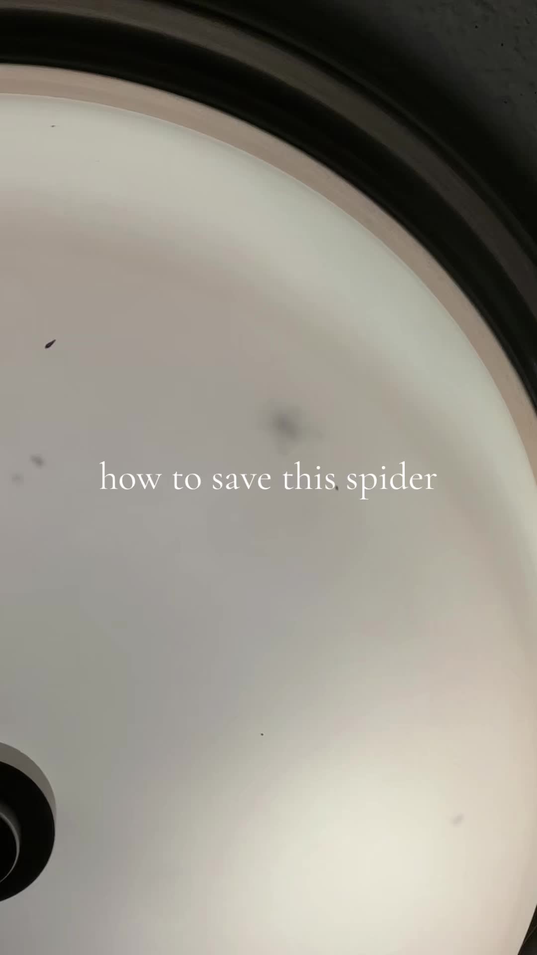 @𖤐BeTheDe𐕣h⩜⃝fMe𖤐