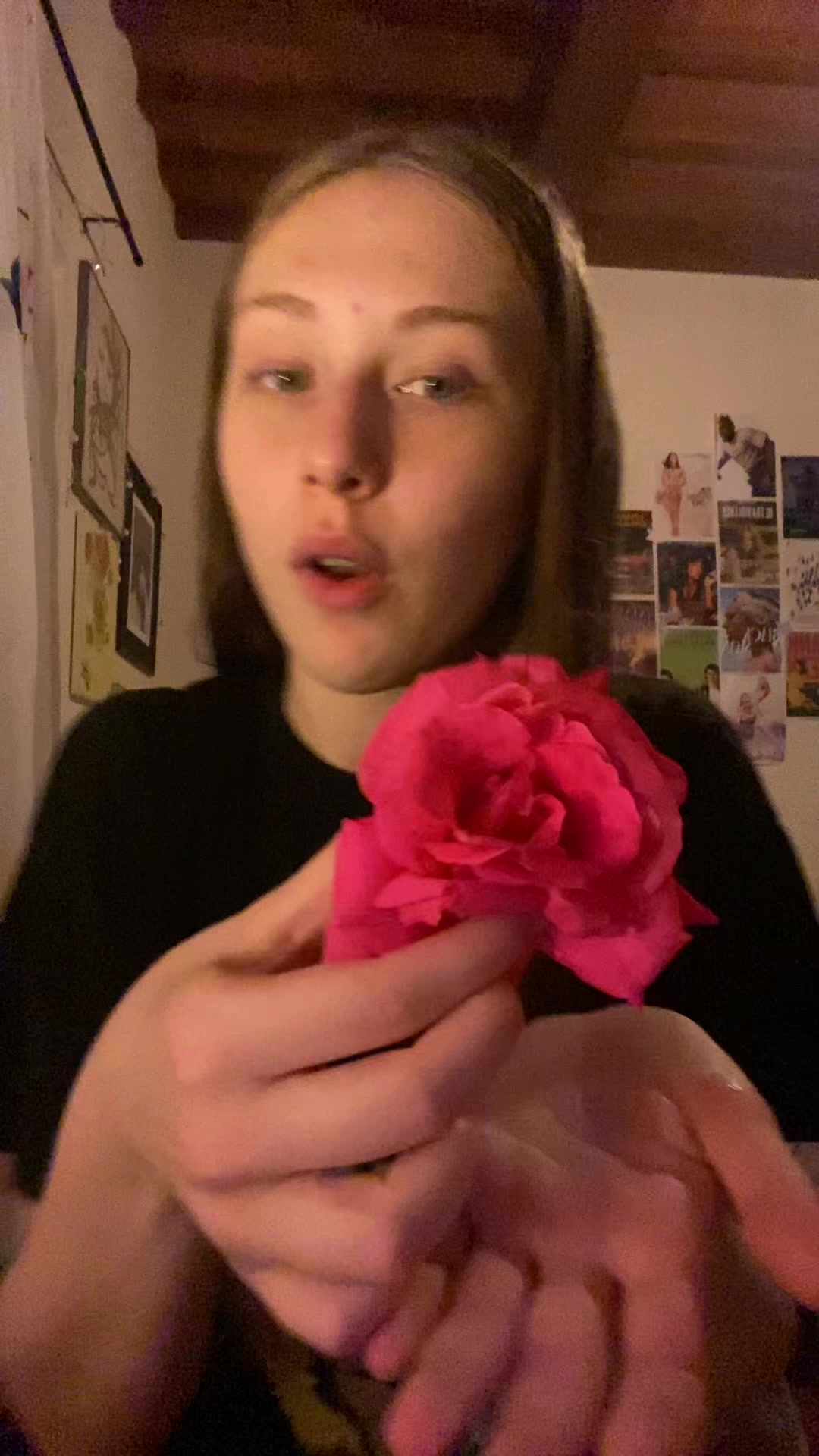 @arianna