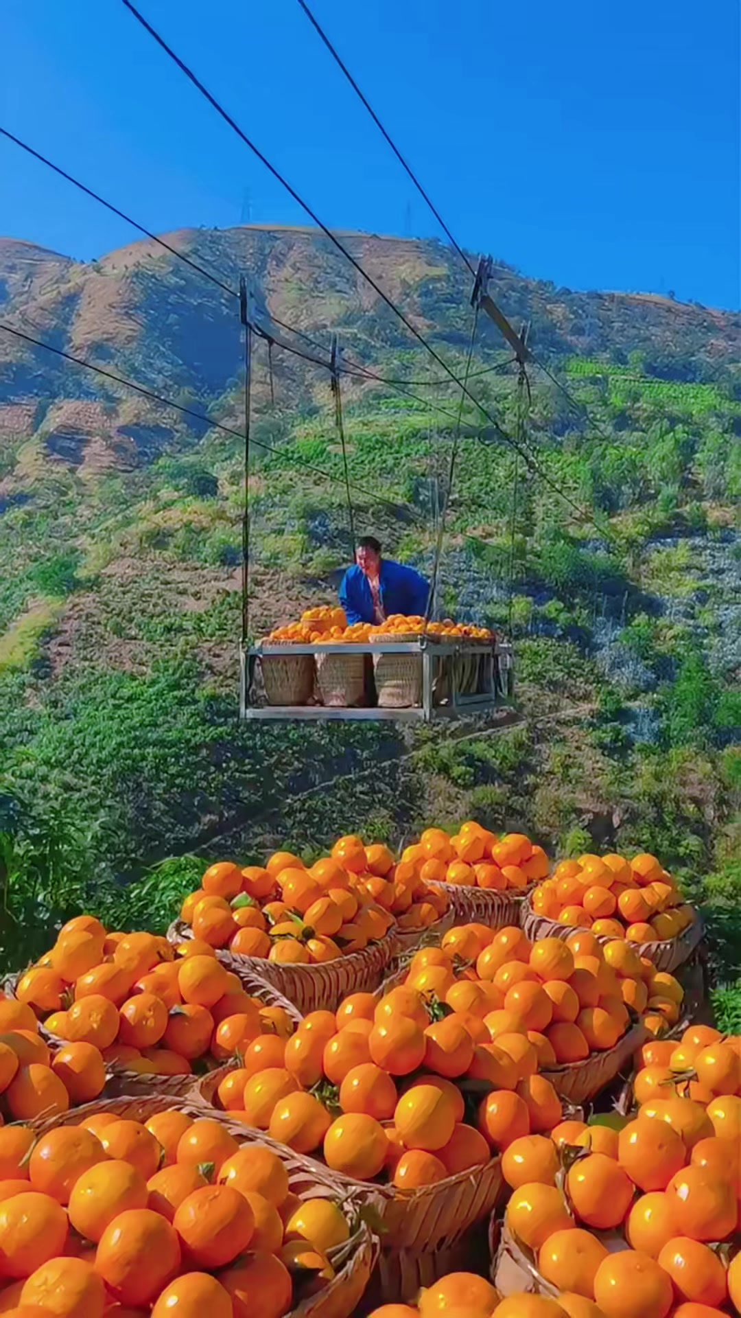 @Fruit happy