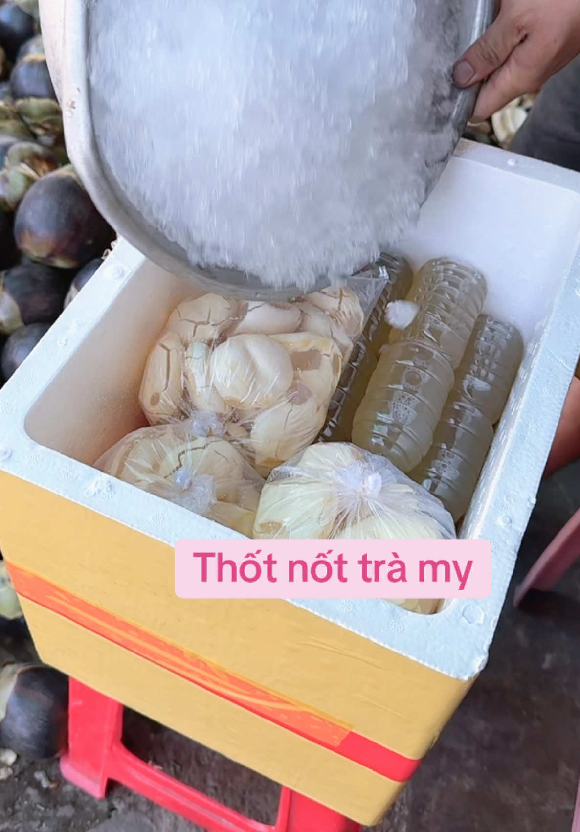 @Thốt nốt trà my