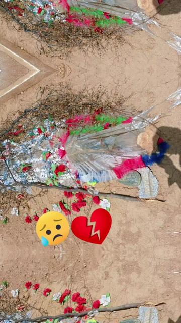 @Muhammad🥀🇵🇰🇸🇦🦅❤️♥️📳📲🥰