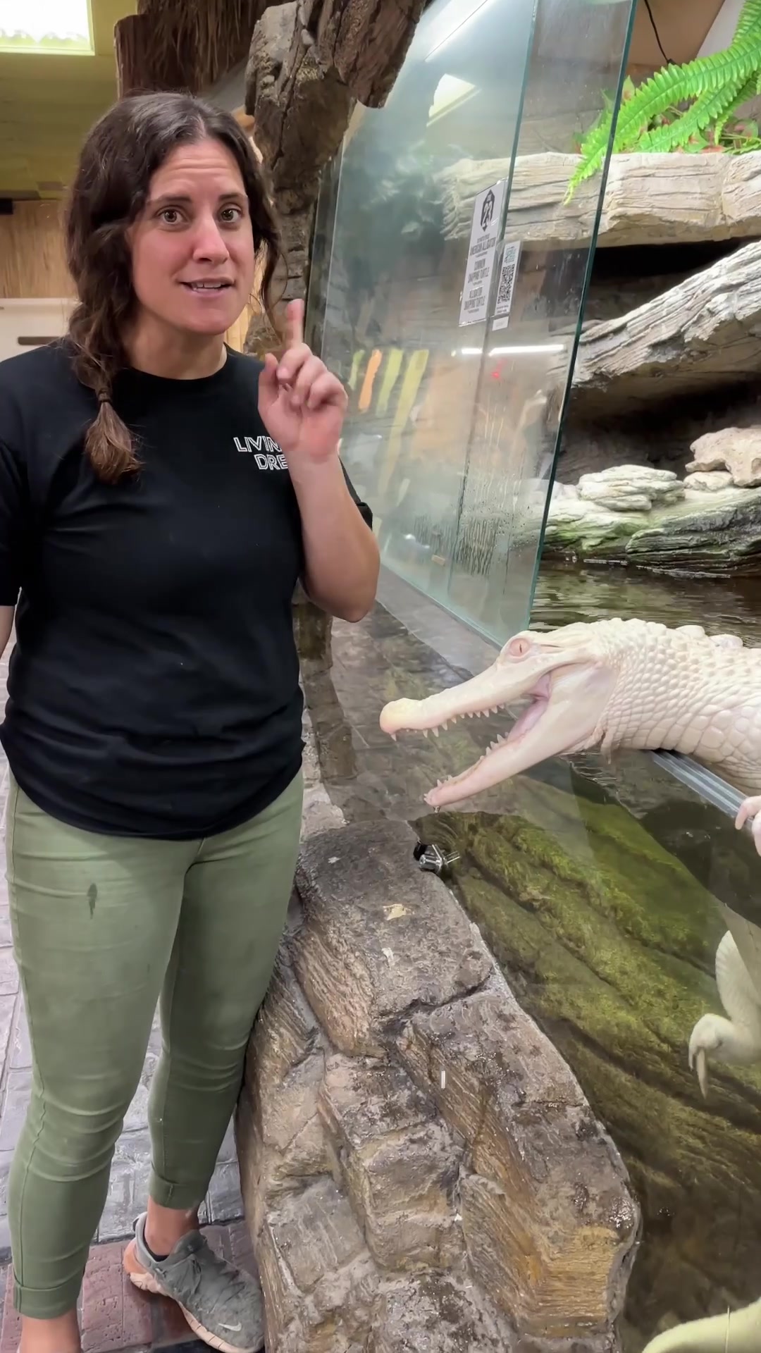 @The Reptile Zoo