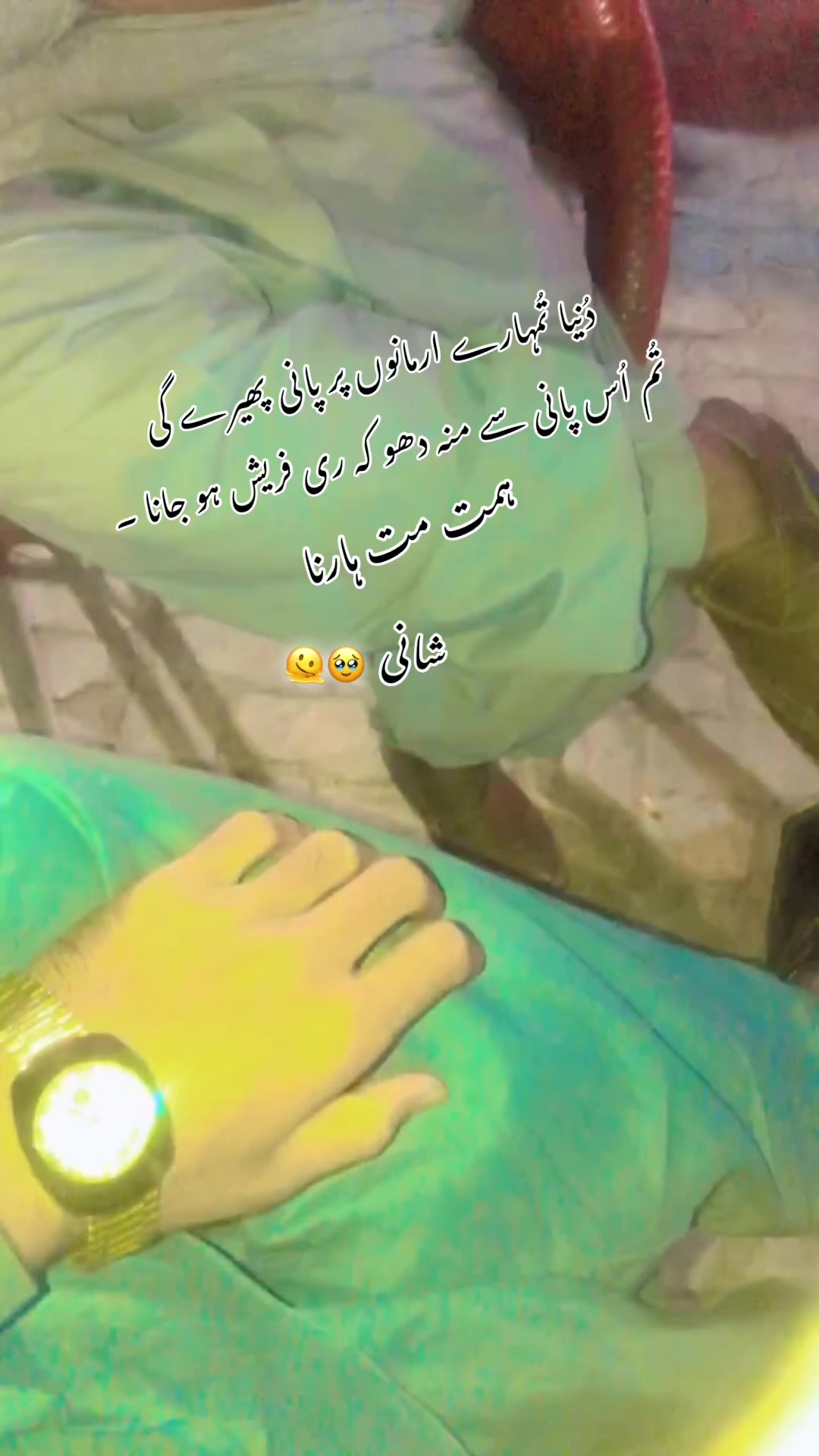 @شانی🍂🌸