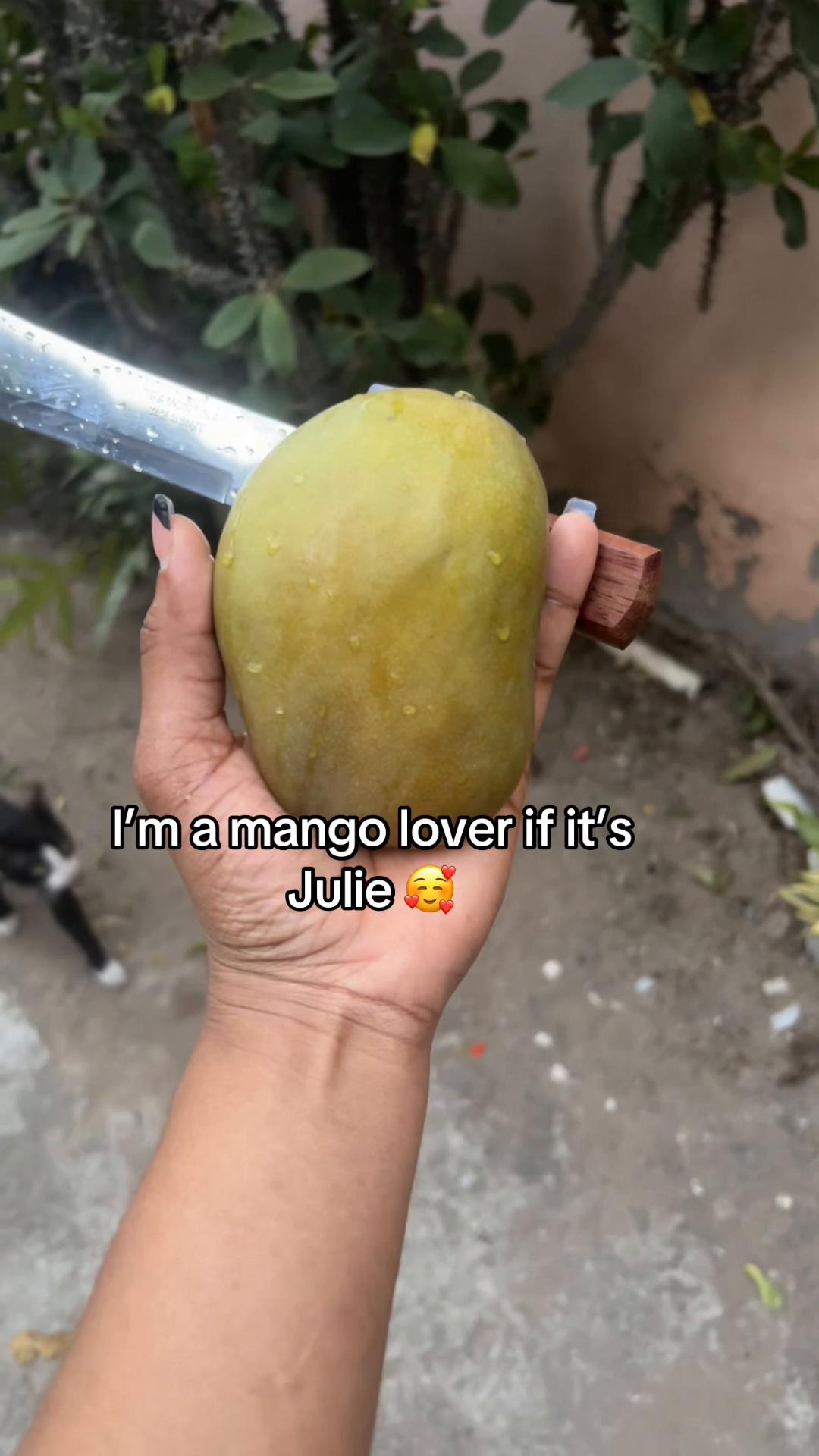 @Moidiary