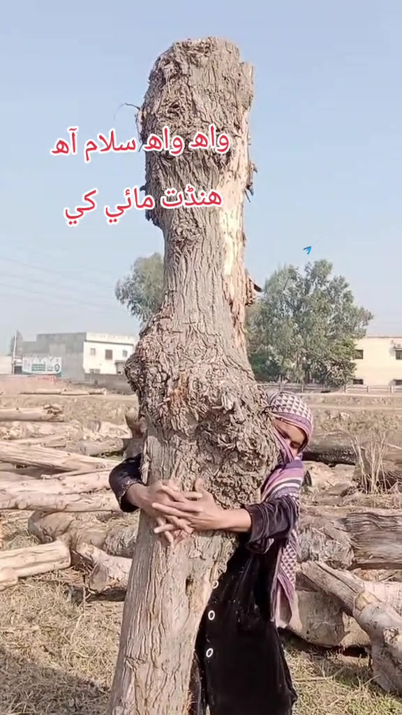 @@alihasankhoso02
