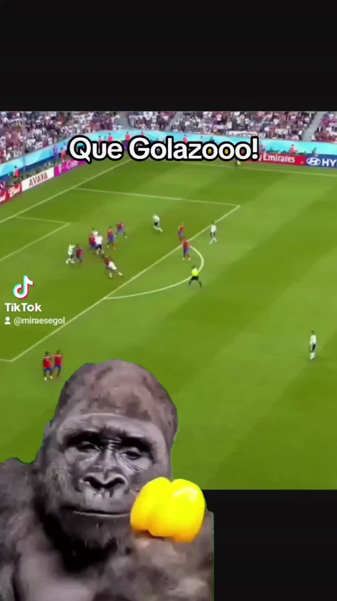 @MiraEseGol