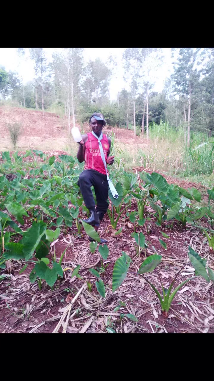 @D Boy Dennis maina