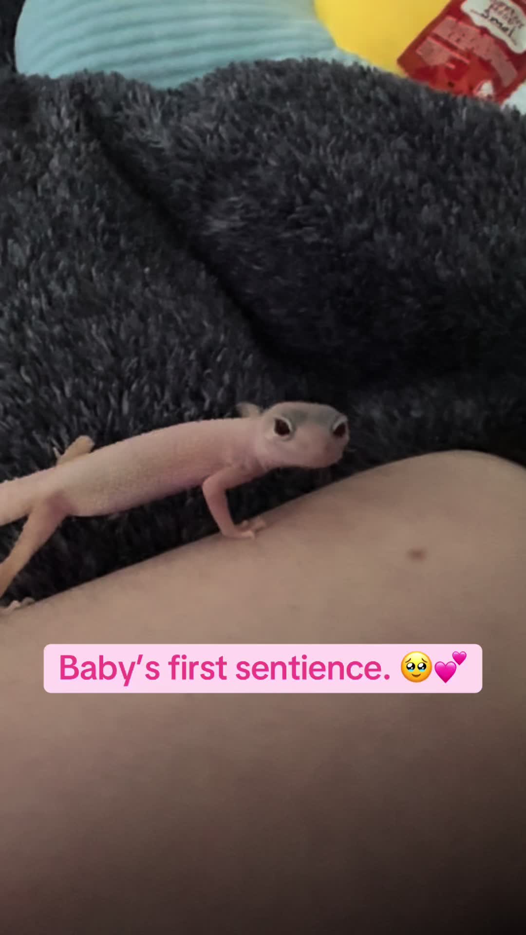 @Maxotic 💕✨