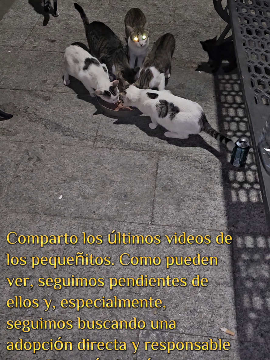 @garritasespaciales