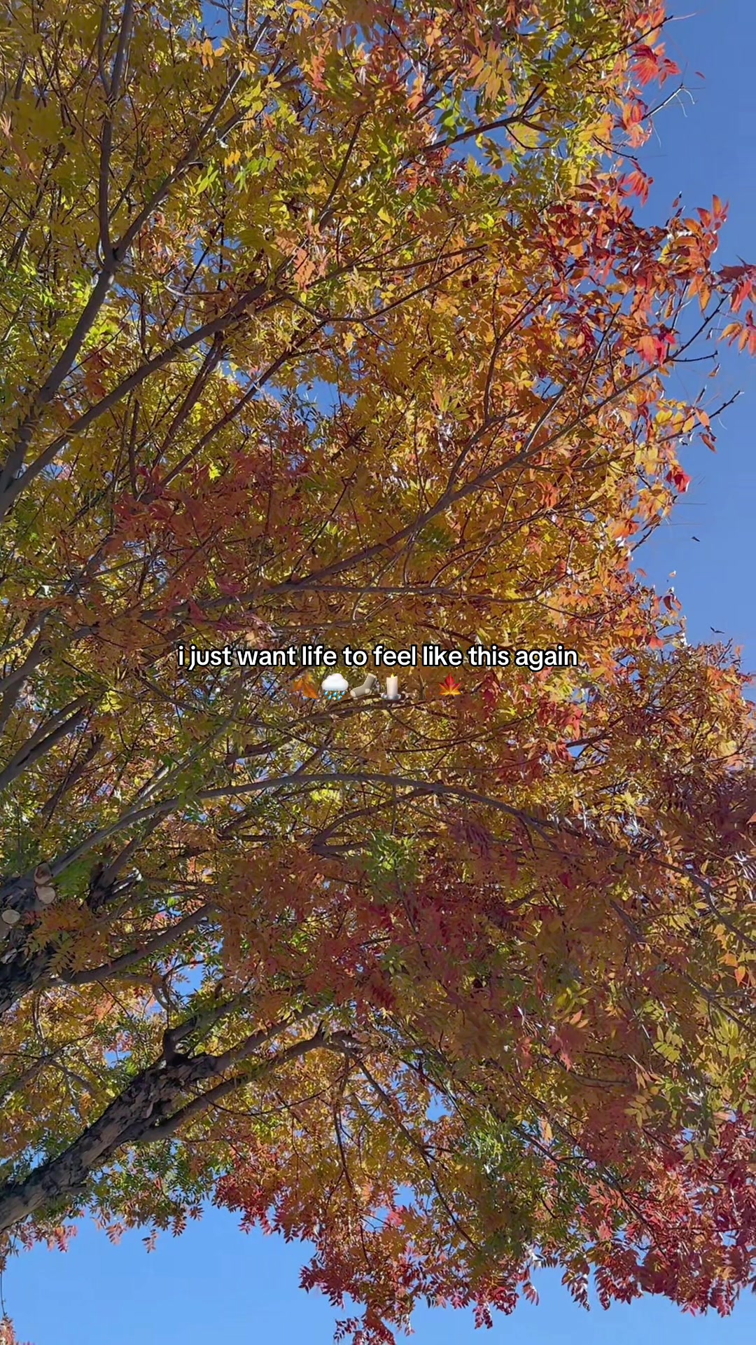 @Kaitlyn In Every Season