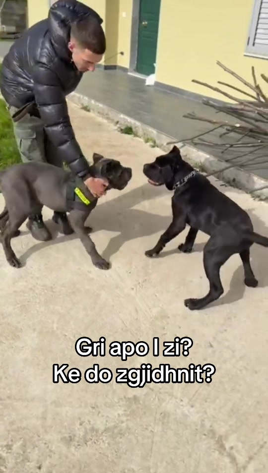 @guardiani_di_lako