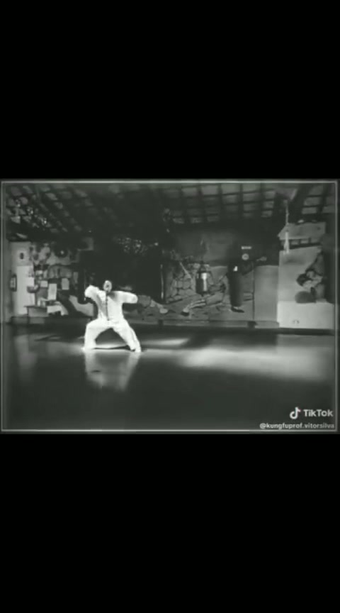 @sifu Vitor Silva