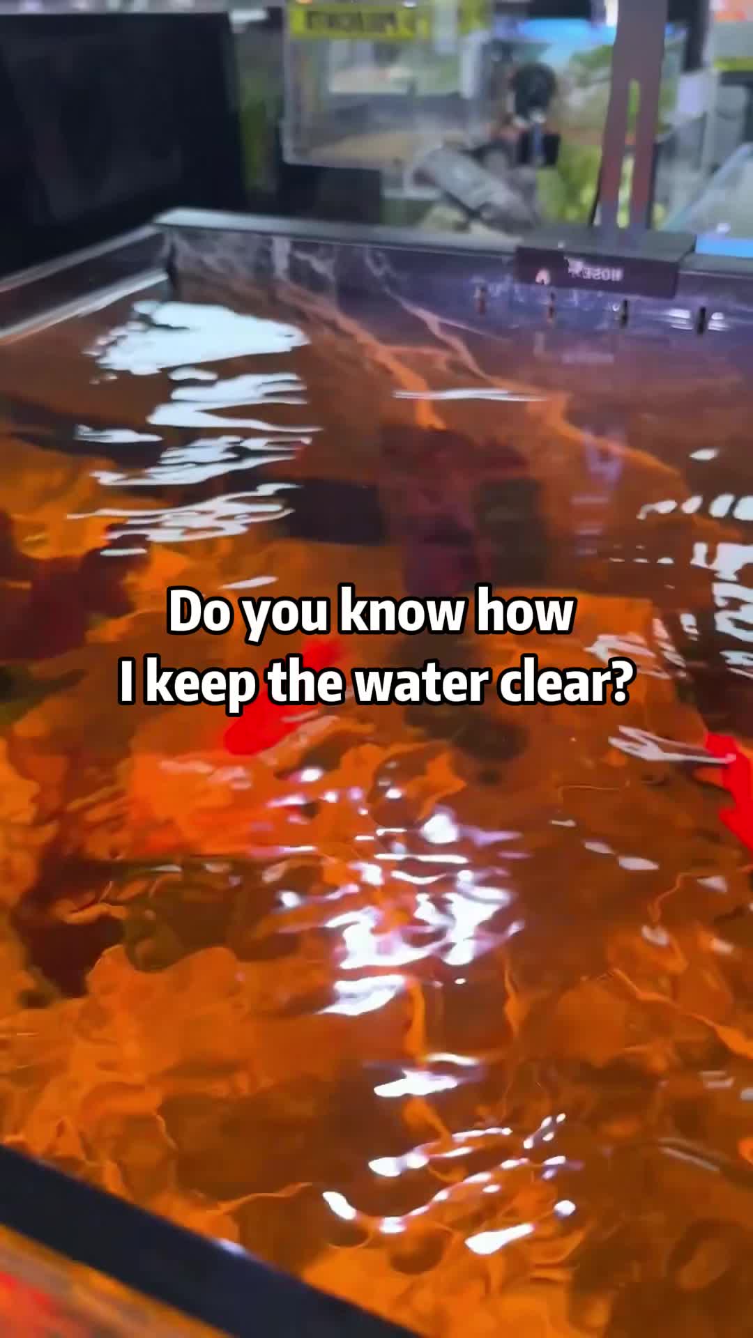 @AquaBunny
