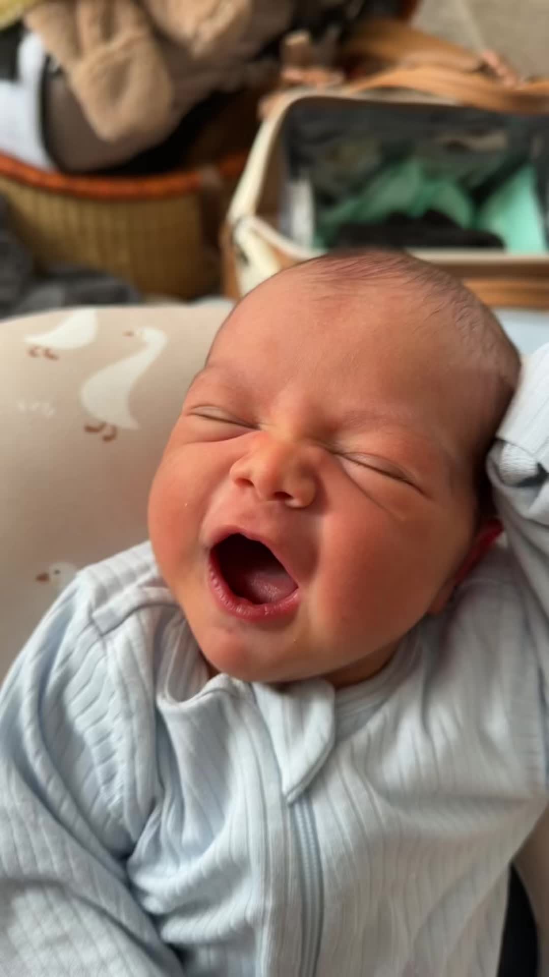 @Mandy | Newborn mama 🌻