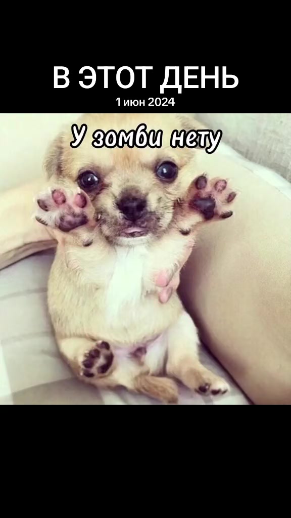 @Барсик и Марсик