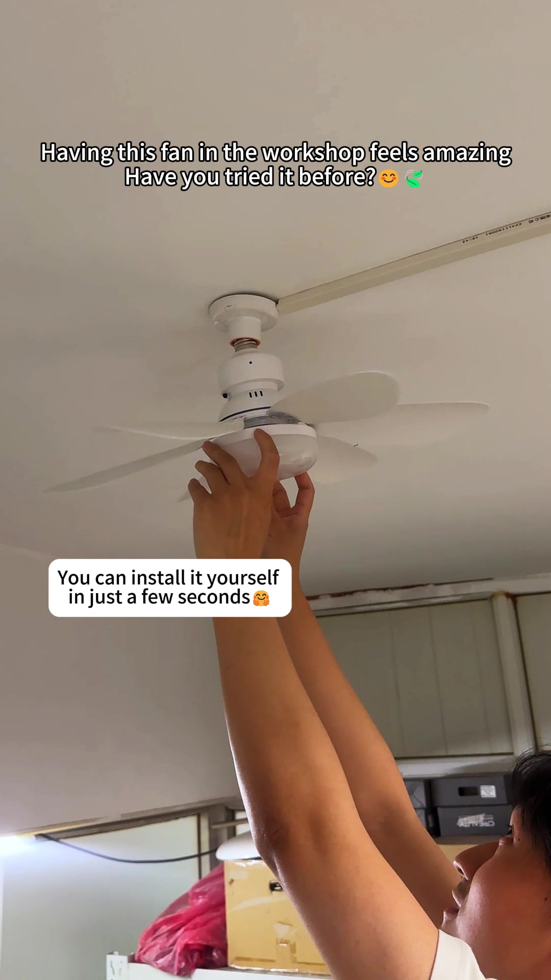@Shayne Glow