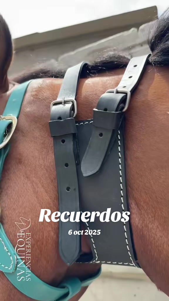 @Experiencias Equinas