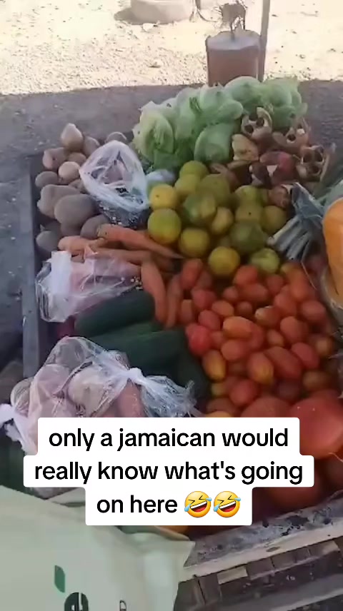 @BOLOFRASS 🇯🇲 🥁 🎹 🎤