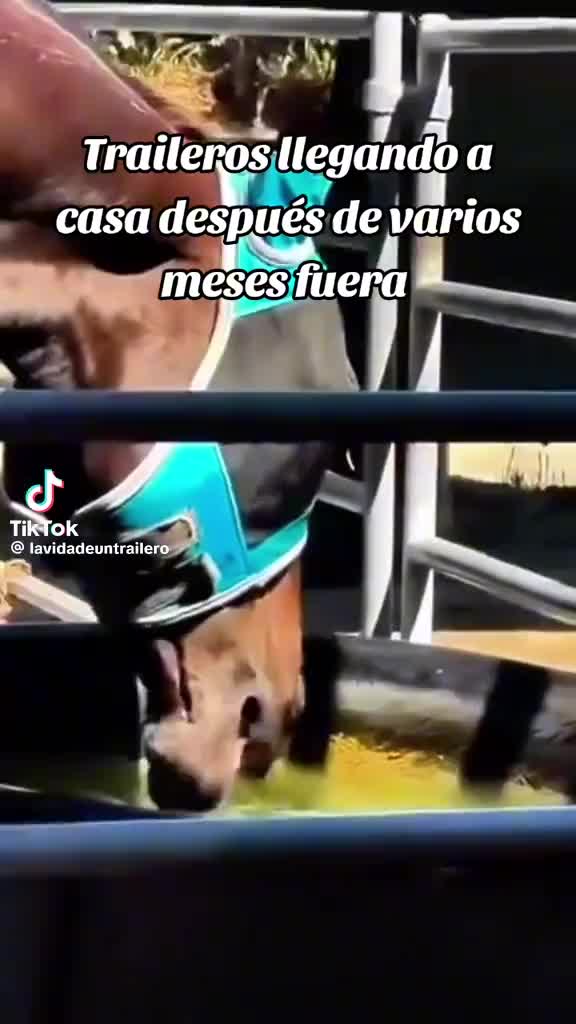 @alexisg1965