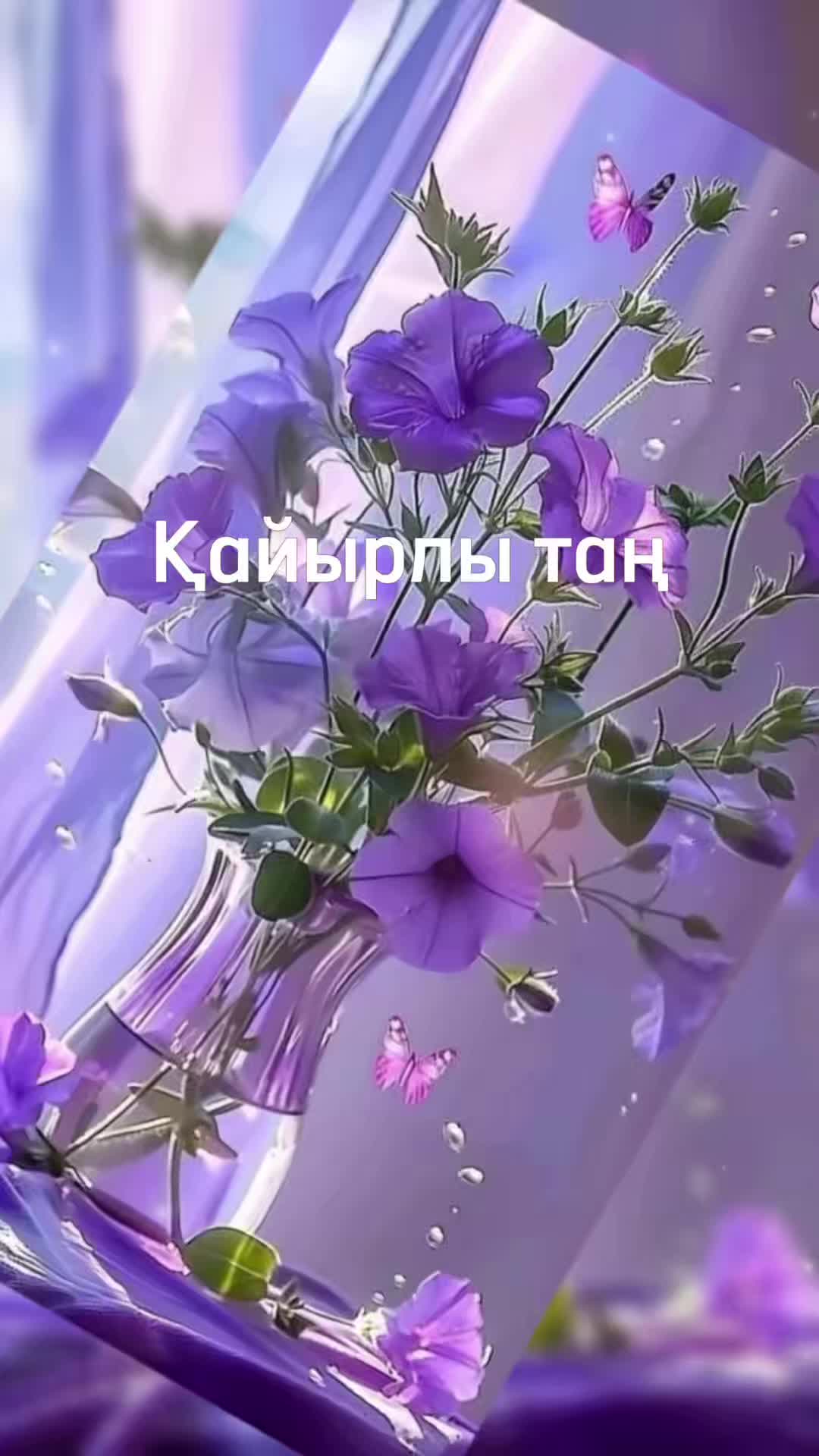 @aray_dinasil