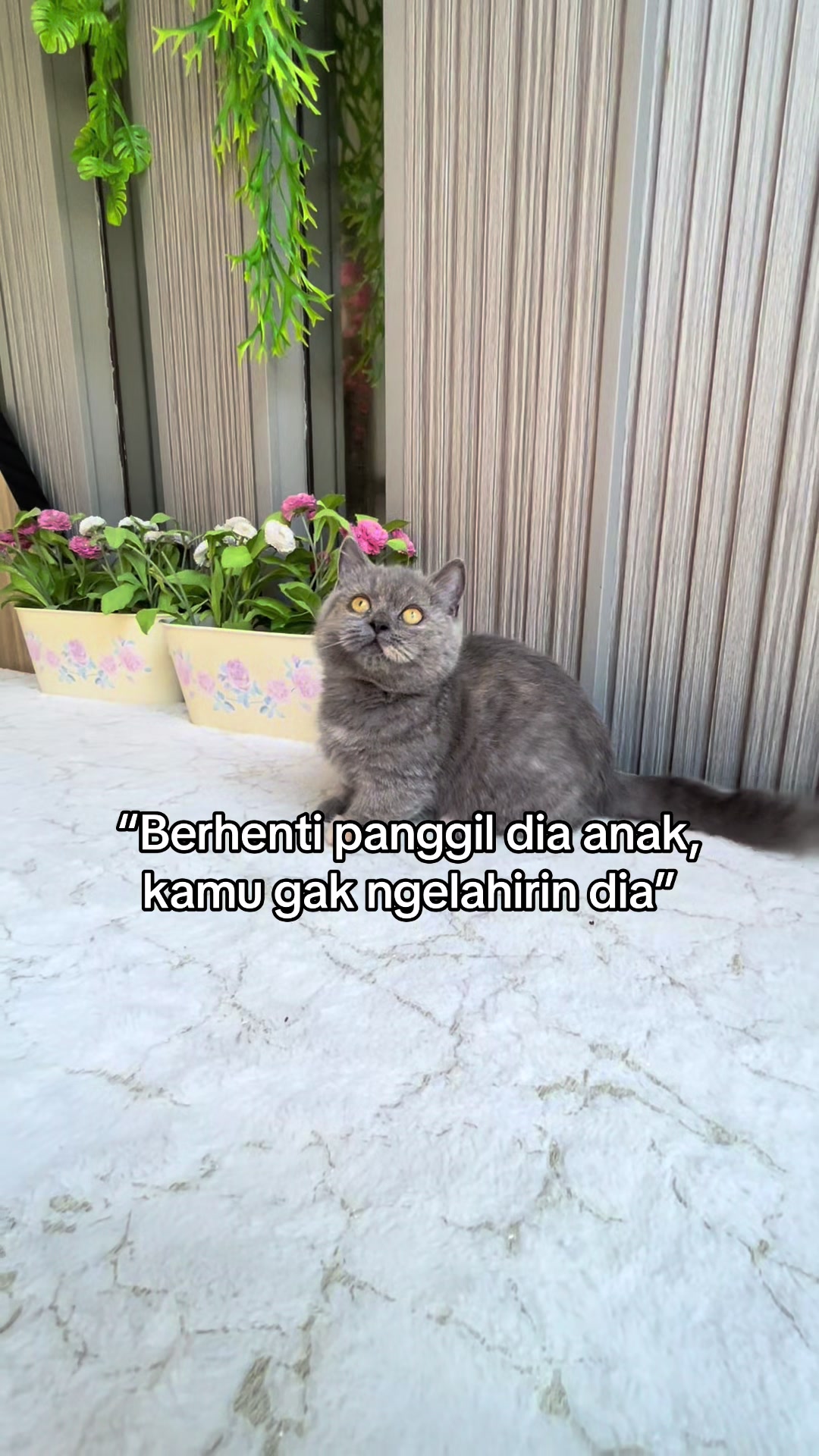 @BIQUIN