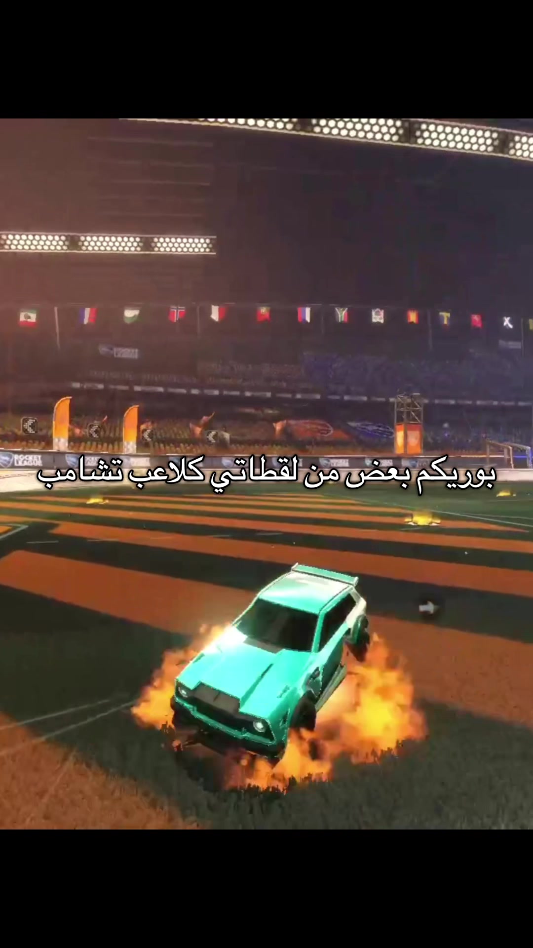 @alfa.zxr