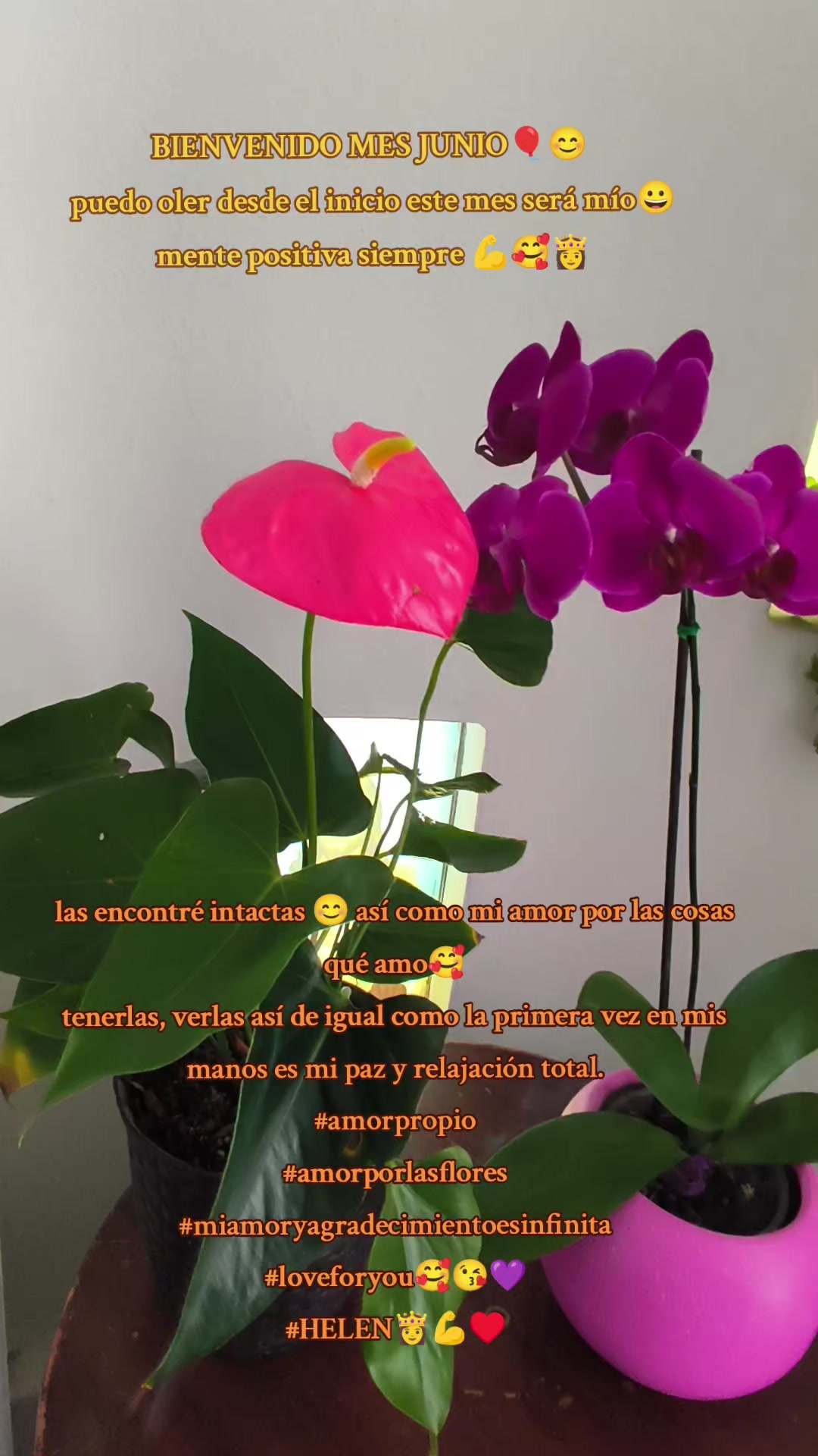 @HELEN❣️ 🐝🦋 RAYO DE LUZ 🦋🐝