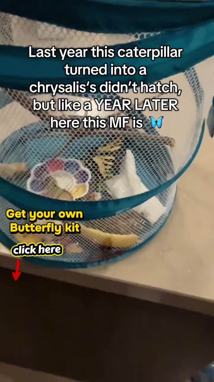 @DealsOnDeals